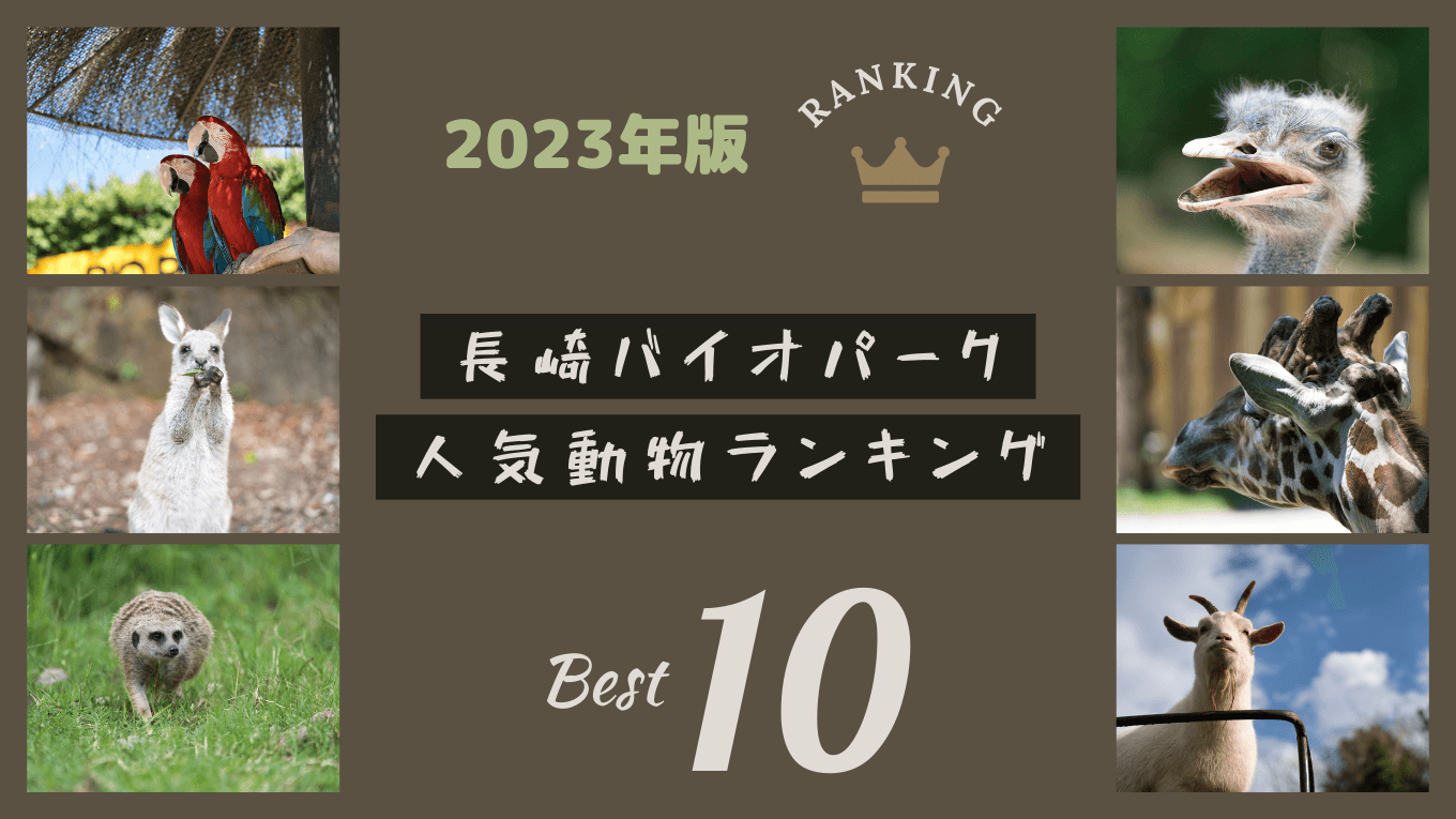 長崎バイオパークの人気動物ランキング2023！気になるオオカンガルーの順位は？